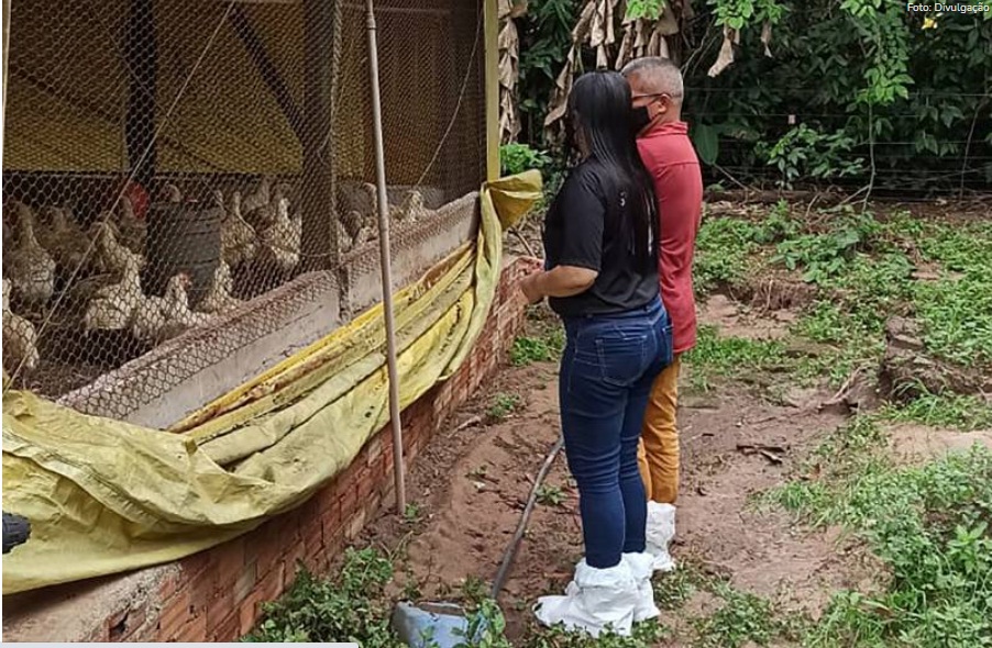 A portaria estabelece as normas de controle e monitoramento dos animais