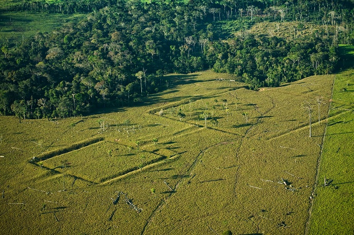 Figuras de obras de terra na paisagem amazônica. Foto: Maurício de Paiva.