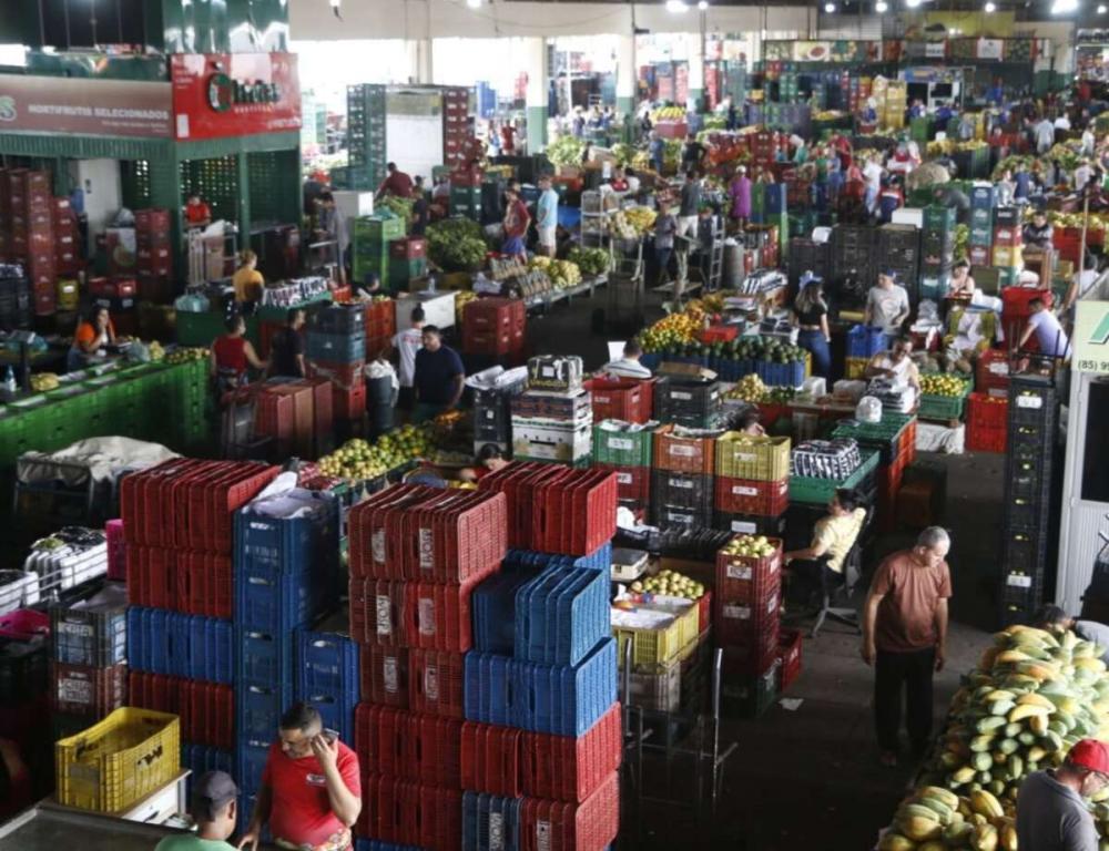 Nordeste se destaca no cenário nacional