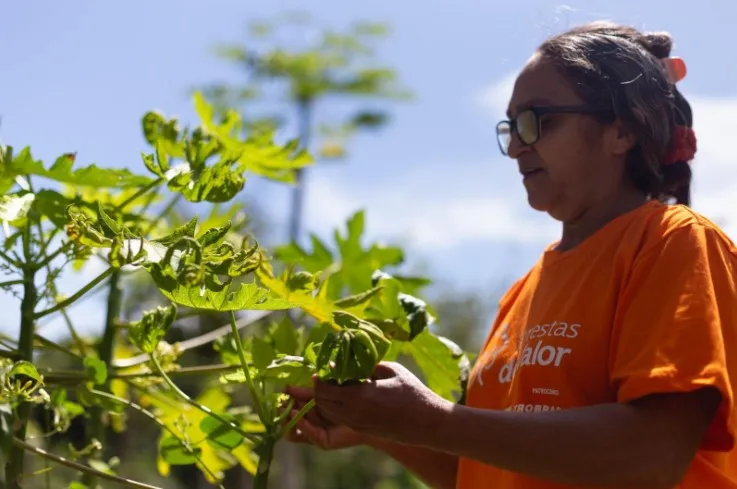 Maria Josefa Machado Neves, comunitária produtora de polpas de frutas e presidente da Associação de Mulheres Produtoras de Polpas de Frutas de São Félix de Xingu (AMPPF). (Foto: Divulgação)